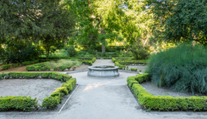 Entradas para Real Jardín Botánico Madrid: qué hacer en verano